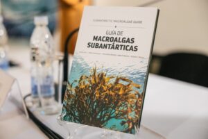 Presentan libro bilingüe “Guía de macroalgas subantárticas”