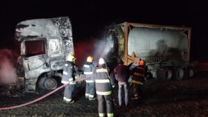 Camión que transportaba salmones se incendió en la ruta