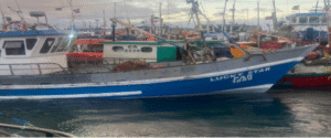 Denuncian a trabajadores de nave que portaba 966 kilos de erizo bajo el tamaño mínimo