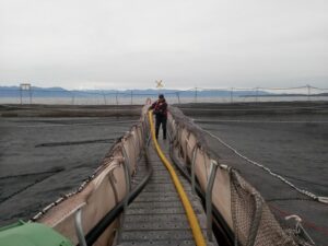 Australis ampliará centro acuícola en Natales
