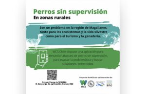 Aplicación permite denunciar ataques o avistamientos de perros en zonas rurales de la Patagonia