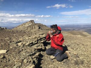 Investigadora analiza incendios forestales de hace 145 millones de años en Antártica y Patagonia