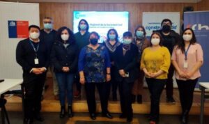 Cosoc de Energía de Magallanes se reunió y definió plan de trabajo para este semestre