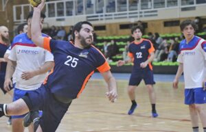 Liga Regional de Handball