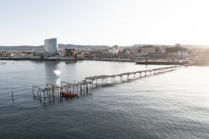 Encuesta considera que zonas costeras de Punta Arenas, Cabo de Hornos y Antártica son sanas