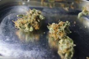 Sentenciado por vender marihuana al menudeo queda con firma mensual