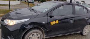 Colectivo terminó con daños luego de ser embestido por caballo