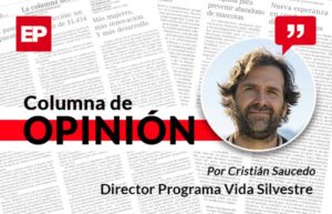 Jaurías de perros como amenaza a nuestra fauna silvestre