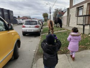 Jardín Infantil Continente Blanco trabaja en proyecto de tenencia responsable