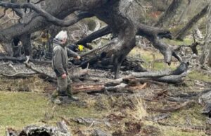 Continúa la vigilancia en Isla Riesco luego de incendio que afectó estancia
