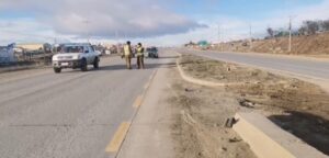 Motociclista impactó contra perro y terminó lesionado