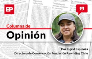 El mar de la Patagonia y las áreas protegidas