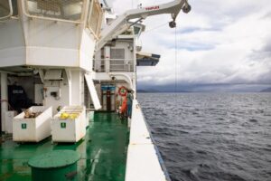 Descubren nueva toxina en los mares de la Patagonia