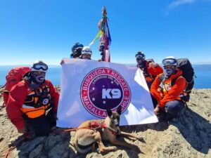 Perros adiestrados han localizado a ocho personas extraviadas en Magallanes