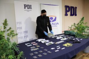 PDI incauta $6 millones en marihuana y dos pistolas de aire comprimido
