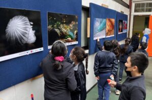 Actividades de divulgación científica llegan a Puerto Williams