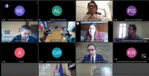 Consejo Regional rechazó declaraciones de impacto ambiental de Australis