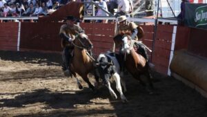 Jinete de rodeo recurre a la justicia para integrar la asociación regional de la disciplina