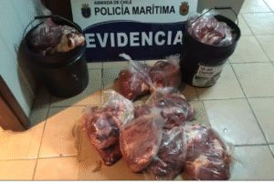 Inician juicio contra pescador acusado de robar vacunos en Puerto Williams