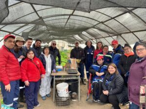 Con éxito finalizó programa de habilidades de Senadis