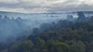 Detienen a sujeto por incendio en parcela de Loteo Vrsalovic