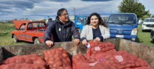 Más de 50 mil kilos de papas semillas han sido entregadas a agricultores de la región