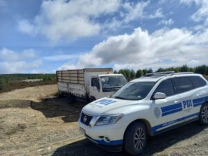 Conductor que transportaba animales de forma irregular fue detenido por maltrato