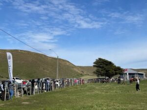 Timaukel vivió la quinta versión de la jineteada más austral