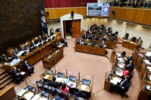 Las visiones magallánicas tras aprobación del TPP11