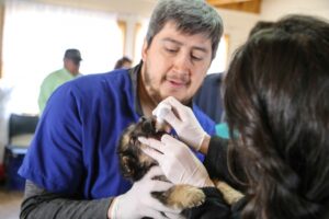 Mascotas de Loteo Varillas fueron atendididas en operativo municipal