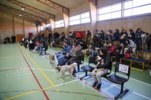 Masivo operativo de mascotas se realizó en el sector sur de la comuna