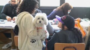 Más de 3 mil atenciones veterinarias ha realizado municipio de Punta Arenas