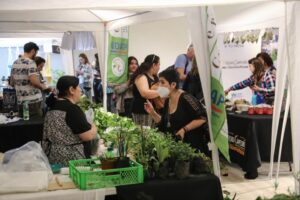 Un completo éxito el retorno del Mercado Campesino