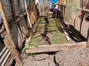 El drama de una vecina de Pampa Alegre cuyo invernadero y baño fueron arrastrados por el mar