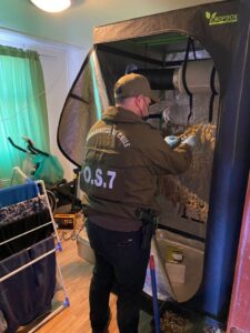 Incautan marihuana avaluada en $9,3 millones al interior de casa de Porvenir