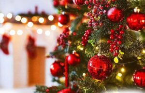Novedoso concurso de Navidad lanzó la Municipalidad de Porvenir