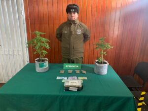 Con trabajo de inteligencia detectaron llegada de droga desde Iquique a Magallanes