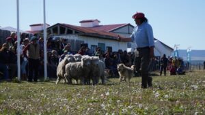 Más de 300 personas participaron en Muestra Cultural Río Verde