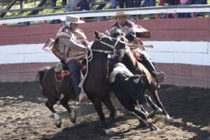 Acogen recurso de jinete al que le impidieron participar en temporada de rodeo