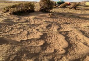 Ganaderos dan a conocer graves efectos de la sequía en sus predios