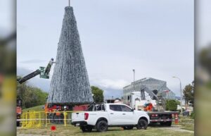 El miércoles Edelmag encenderá el árbol de Navidad