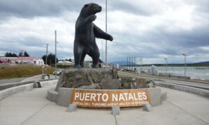 Natales comenzará a cobrar estacionamientos