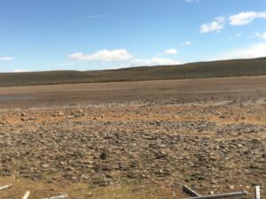 En medio de histórica sequía ganaderos piden Zona de Emergencia Agrícola