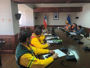 Conaf y Onemi llaman a prevenir incendios forestales en fiestas de fin de año