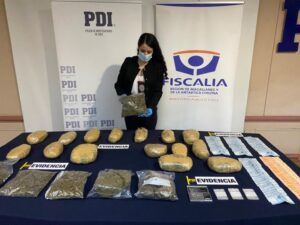PDI incauta más de 10 kilos de marihuana en el patio de vecino de Puerto Natales