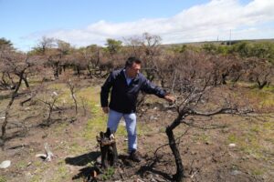 Municipio refuerza llamado a evitar incendios y dejar basura en espacios públicos naturales
