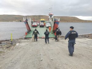 Intensas fiscalizaciones de Carabineros y Armada