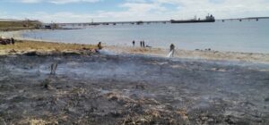Quema de pastizal en Cabo Negro generó preocupación