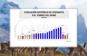 Bajas cifras de visitantes al Paine golpean el turismo