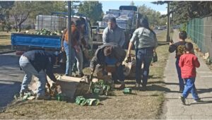 Camión que transportaba cervezas sufrió caída de su carga en Avenida Bulnes